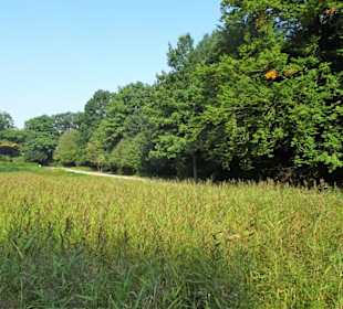Rundgang durch den Harburger Stadtpark