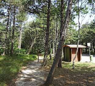 Bushaltestelle "Aussichtsdüne" in Norddorf