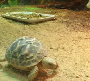 Allwetterzoo Münster