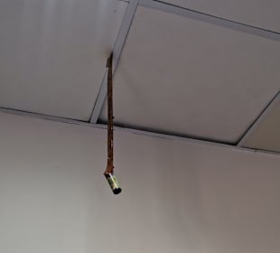 Klebrige Fliegenfänger über dem Bett