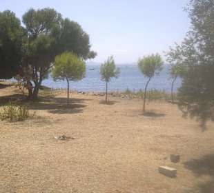 Naturstrand 
