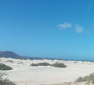 Parque Natural de las Dunas de Corralejo in Corral