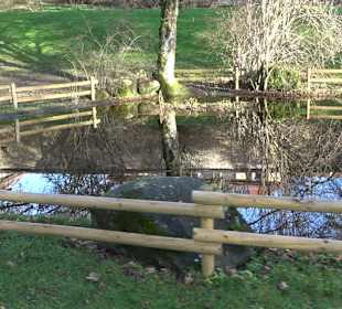 Klosterpark