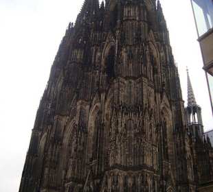 Dom