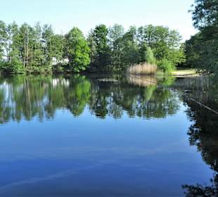 Rundgang um den Kirchhorster See