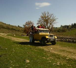 Jeep Safari mit Heike