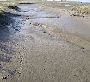 Wird bei Flut mit Meerwasser gefüllt