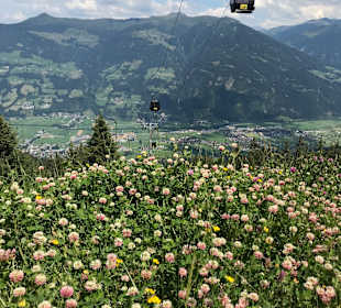 Wandern Fügen (Zillertal)