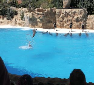 Loro Parque 