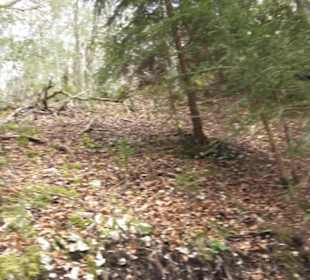 Wanderweg Hochgehswiggert