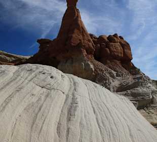 Offizieller Name: Paria Rimrocks