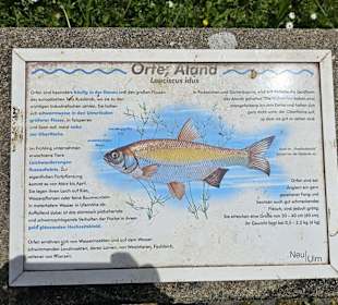 Fischlehrpfad