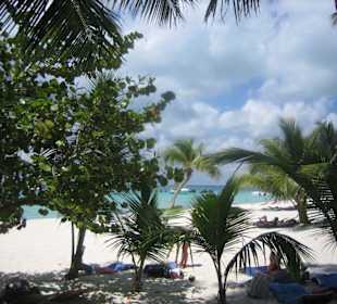 Isla Saona