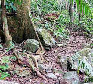Parque Natural Obô do Príncipe