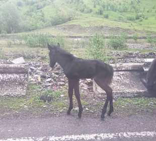 Gruzińska Droga Wojenna