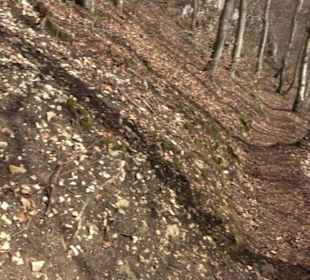Wasserfallsteig