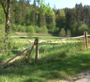 Premiumwanderweg Hochgehschätzt