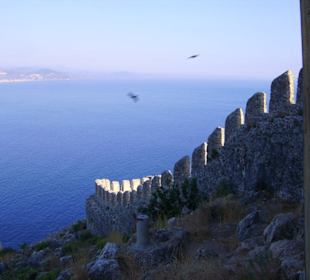 Aussicht von der Burg!