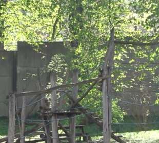 Unterer Schlossgarten Stuttgart