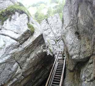 Silberkarklamm