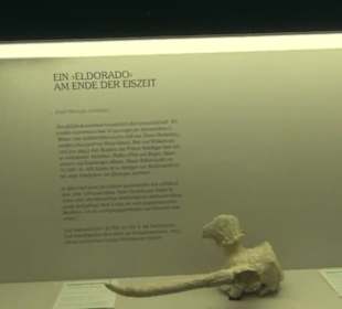 Niedersächsisches Landesmuseum