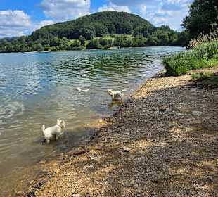 Für die auch viel Spass vor Ort