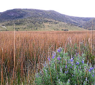 Cotopaxi Nationalpark