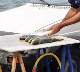 Marché aux Poissons