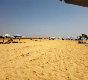 Der Hundestrand dei Pini