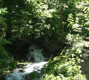 Wiesaz-Wasserfall