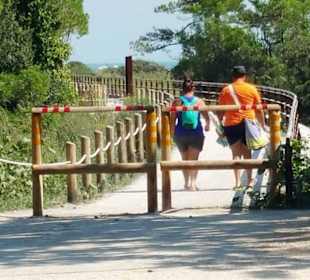 Der neue Weg an der Brandungsmauer