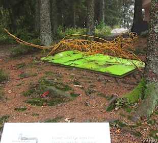 Erlebniswelt Mummelsee