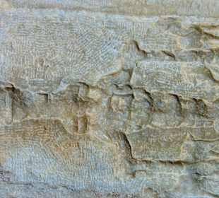 Ausflug Ephesus 20.10.2013 Bilder sagen mehr als..