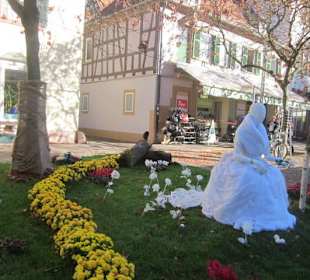 Chrysanthema Lahr