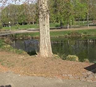 Unterer Schlossgarten Stuttgart
