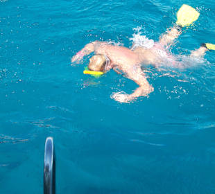 Einzigartiges Erlebnis