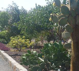 Im Parque de Botanico (Innenbereich)