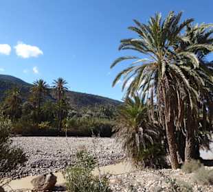 Fahrt ins Paradise Valley