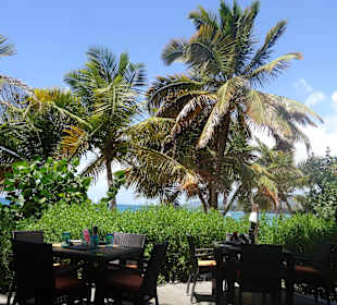 Blick vom Garten Richtung Meer! 