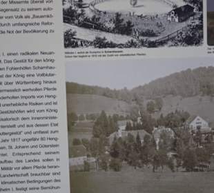 Gestütsmuseum Offenhausen