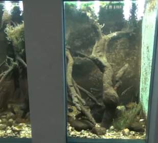 Naturkundemuseum