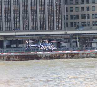 Elicottero (dettaglio)