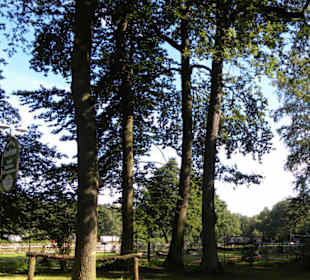 Isernhagen Parksee Lohne