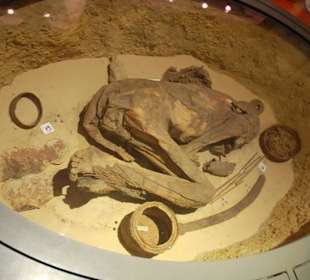 Predynastic Mummy, Pre-Dynastic Period (6000 BC)