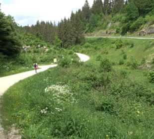 Premiumwanderweg "hochgehackert"