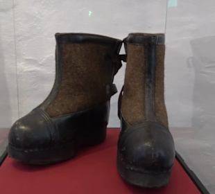 Gestütsmuseum Offenhausen