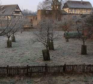 Blick aus der Ferienwohnung Burggarten im Herrenha