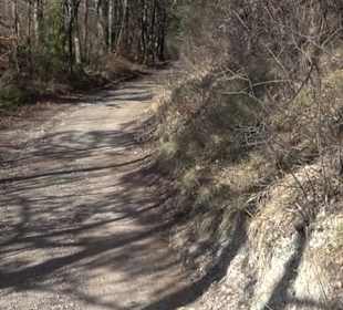 Hirschauer Spitzbergwegle (Premiumspazierwanderweg