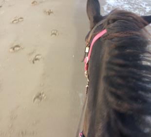 Strand Guardamar Segura