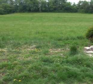 Naturinfopfad Weggental